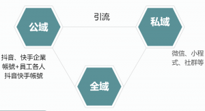 十萬億直播帶貨商機-香港企業港貨逆襲之路